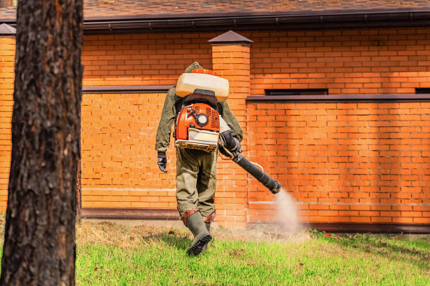 Trusted Rodent Control service in Bear Creek Ranch, TX - Nex Pest Control